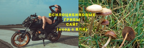 круглые Арсеньев