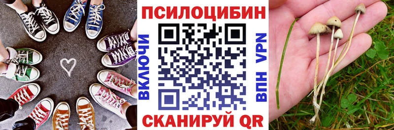 Галлюциногенные грибы Cubensis  Маркс 